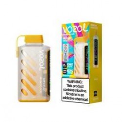 Mexican Mango Ice